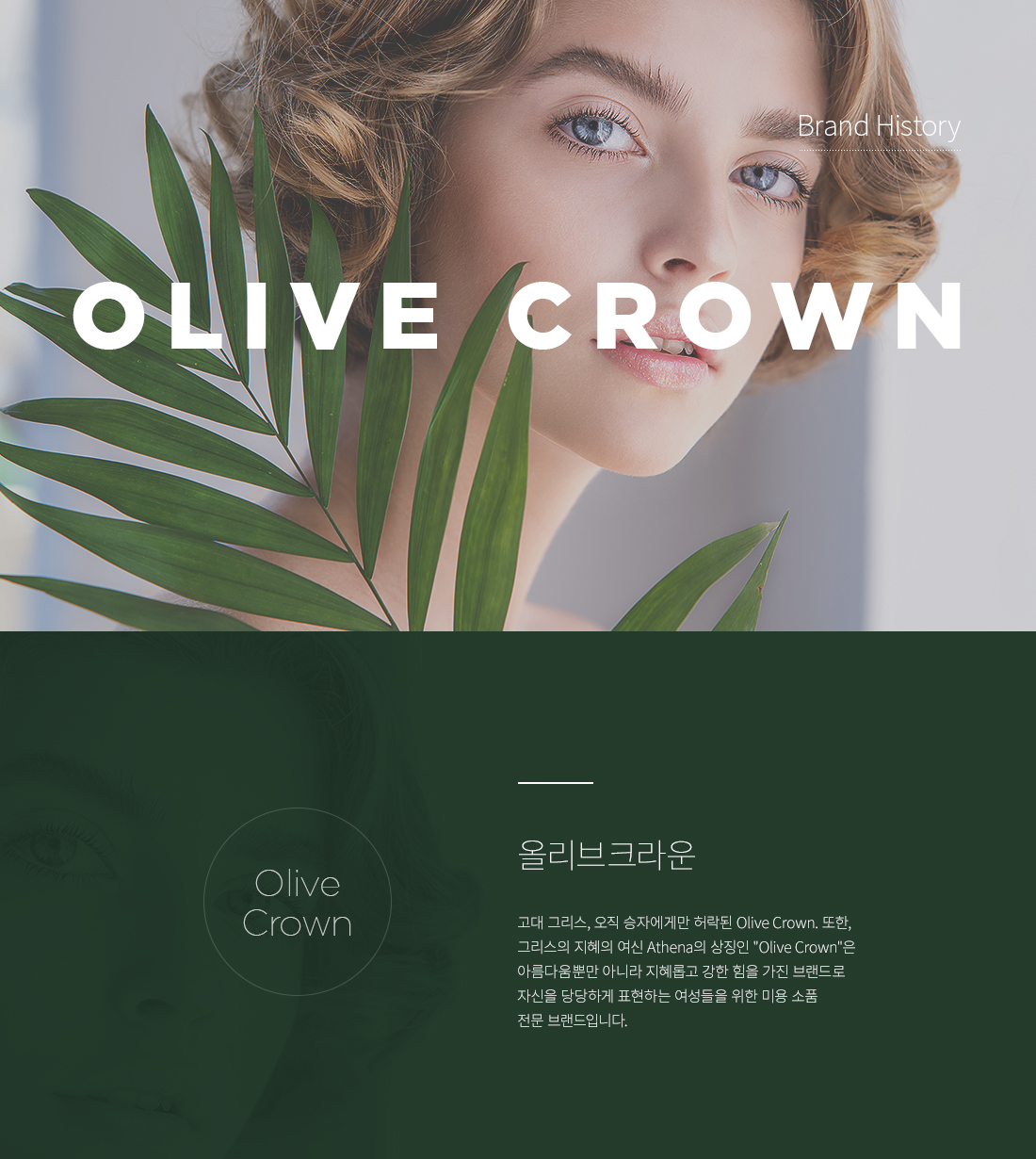OLIVE CROWN